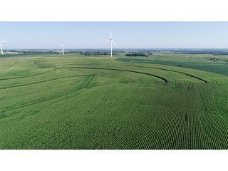 Bureau County, Illinois farmland - LAND AND WIND RIGHTS AUCTION - 337+/- ACRES IN 4 TRACTS IN BUREAU COUNTY, ILLINOIS